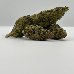 Govermnent Oasis (BBB)