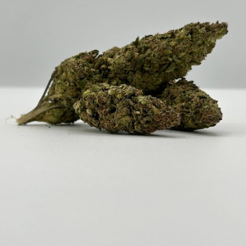 Govermnent Oasis (BBB)